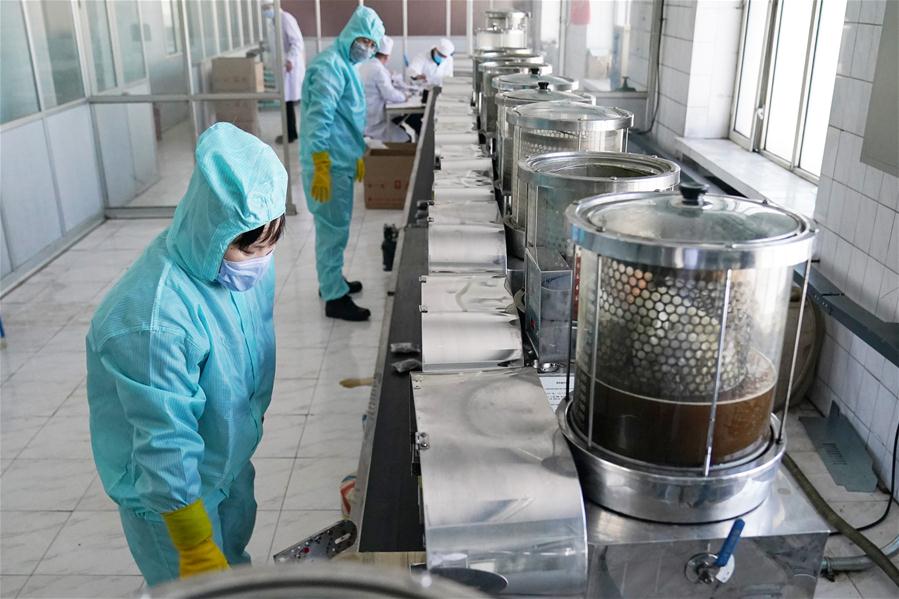 CHINA-HARBIN-COVID-19-TCM-PRODUCTION (CN)