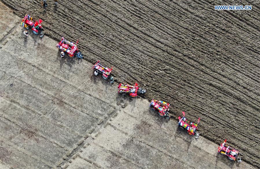 CHINA-TIBET-AGRICULTURE-SPRING PLOUGHING (CN)