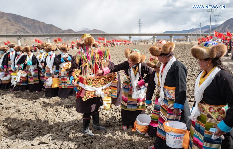 Spring Ploughing Ceremonies Take Place in Tibet to Pray for Year with Good Harvests