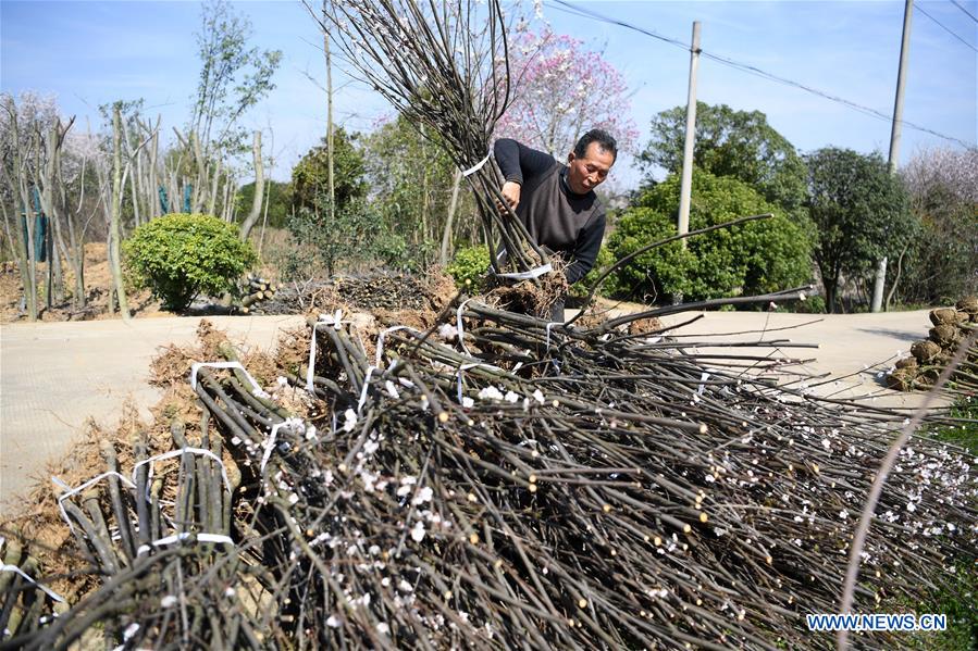 CHINA-ANHUI-POVERTY ALLEVIATION-GREEN ECONOMY (CN)