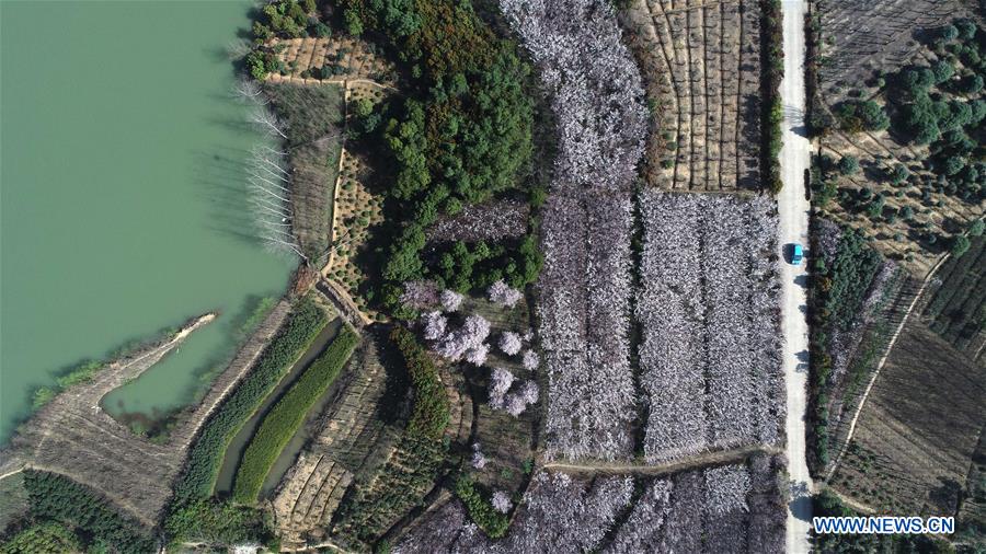 CHINA-ANHUI-POVERTY ALLEVIATION-GREEN ECONOMY (CN)