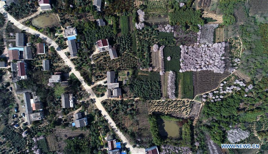 CHINA-ANHUI-POVERTY ALLEVIATION-GREEN ECONOMY (CN)