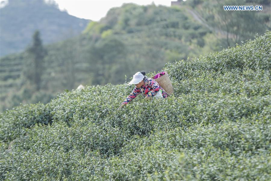 CHINA-CHONGQING-PRODUCTION RESUMPTION (CN)