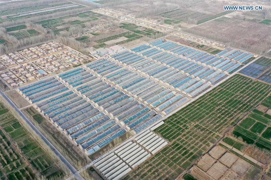 CHINA-XINJIANG-GREENHOUSE-FARMING (CN)