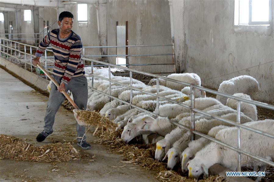 CHINA-XINJIANG-KASHGAR-POVERTY ALLEVIATION (CN)