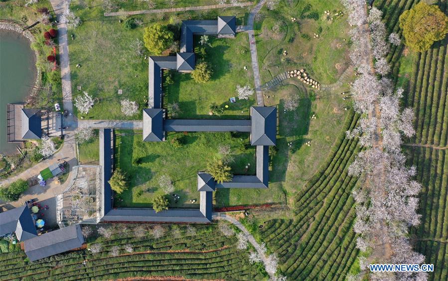 CHINA-JIANGXI-NANCHANG-CHERRY BLOSSOM (CN)