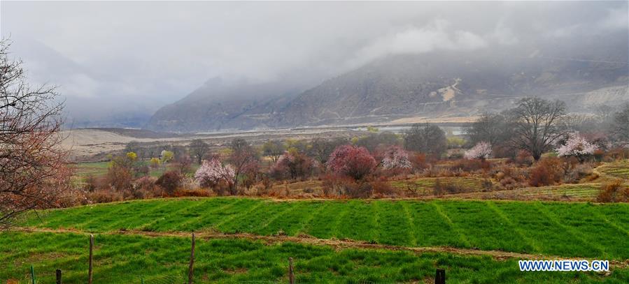 CHINA-TIBET-NYINGCHI-SCENERY (CN)