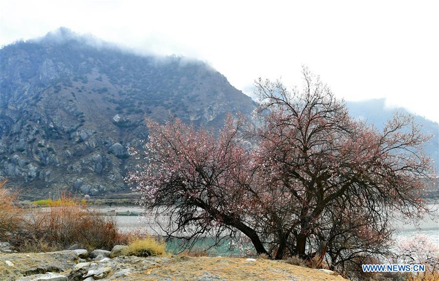 CHINA-TIBET-NYINGCHI-SCENERY (CN)