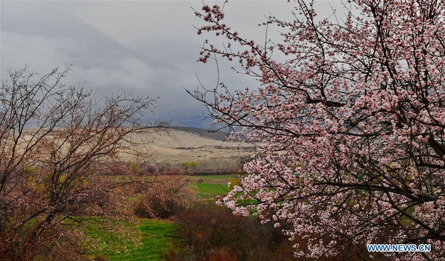 CHINA-TIBET-NYINGCHI-SCENERY (CN)