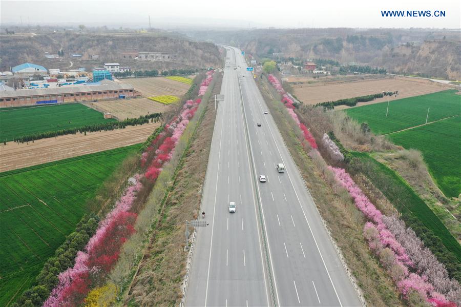 CHINA-HENAN-XINGYANG-SPRING-BLOSSOMS (CN)