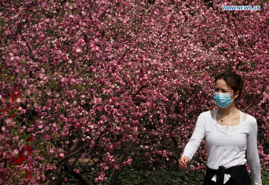 CHINA-HENAN-ZHENGZHOU-BLOSSOM (CN)
