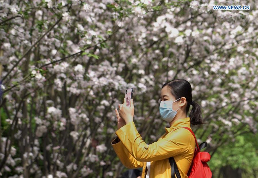 CHINA-HENAN-ZHENGZHOU-BLOSSOM (CN)