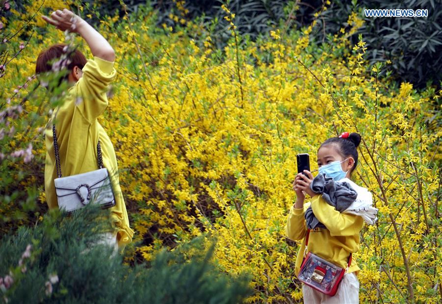 CHINA-HENAN-ZHENGZHOU-BLOSSOM (CN)