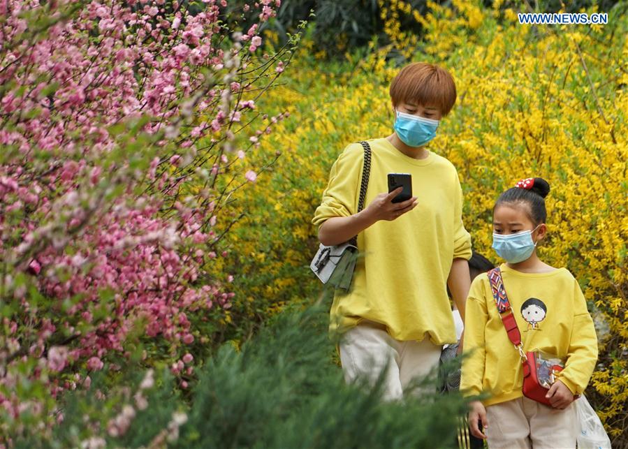 CHINA-HENAN-ZHENGZHOU-BLOSSOM (CN)