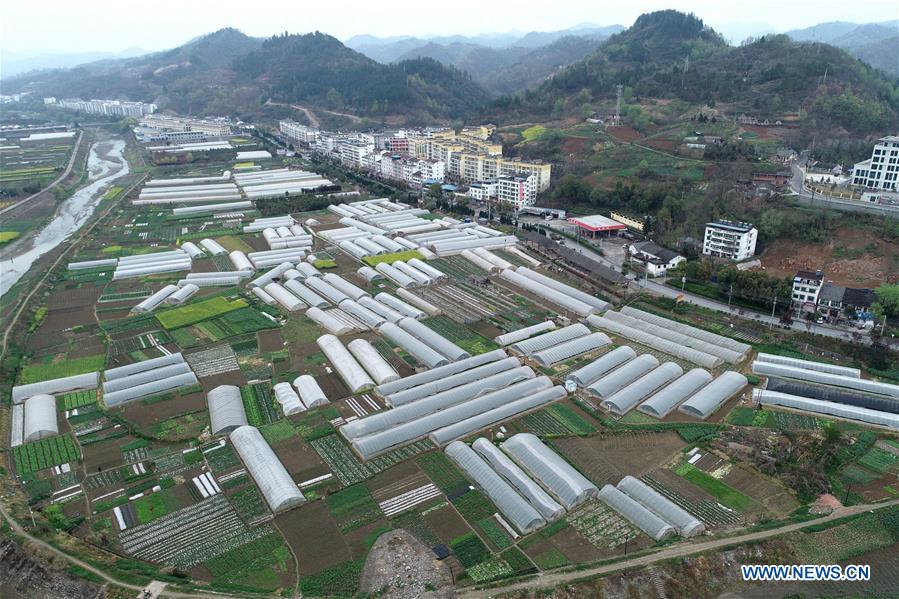 CHINA-SHAANXI-SHIQUAN-POVERTY ALLEVIATION-FEATURED INDUSTRIES (CN)