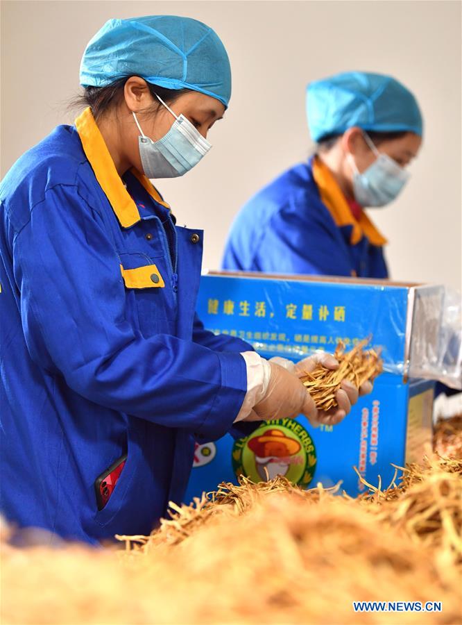 CHINA-SHAANXI-SHIQUAN-POVERTY ALLEVIATION-FEATURED INDUSTRIES (CN)