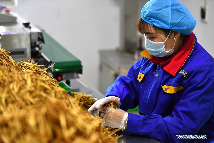 CHINA-SHAANXI-SHIQUAN-POVERTY ALLEVIATION-FEATURED INDUSTRIES (CN)