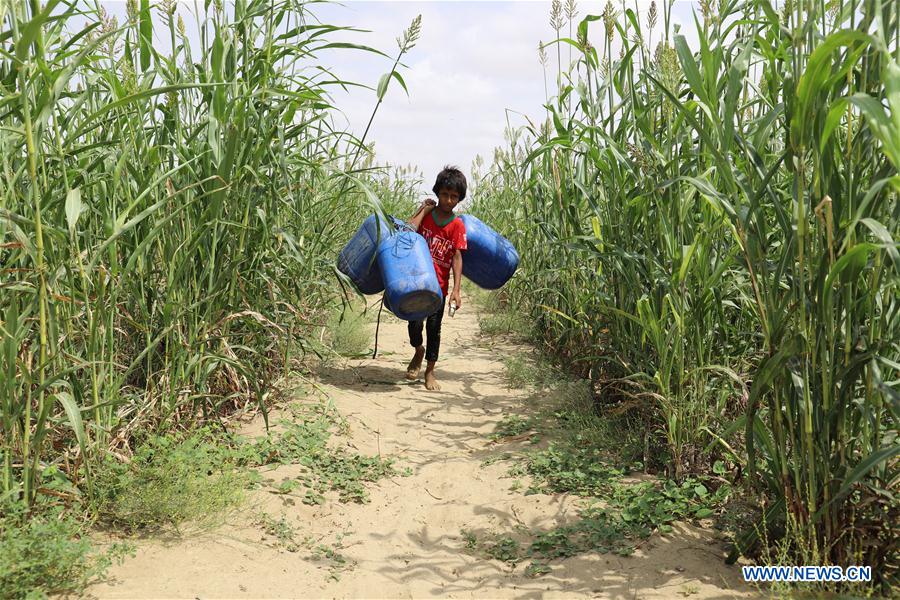 YEMEN-HAJJAH-WORLD WATER DAY
