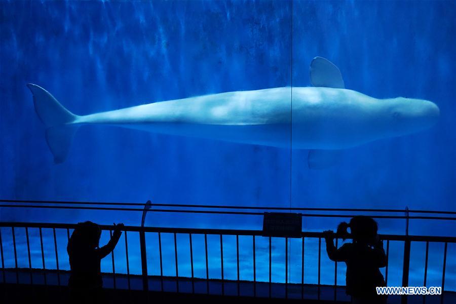 CHINA-HARBIN-POLARLAND-REOPEN (CN)