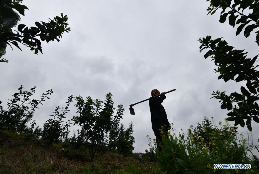 CHINA-GUANGXI-RONGSHUI-POVERTY ALLEVIATION (CN)
