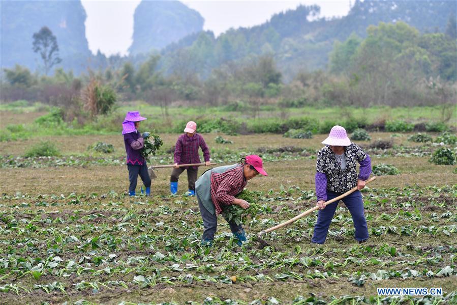 CHINA-GUANGXI-RONGSHUI-POVERTY ALLEVIATION (CN)