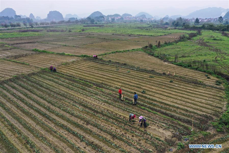 CHINA-GUANGXI-RONGSHUI-POVERTY ALLEVIATION (CN)