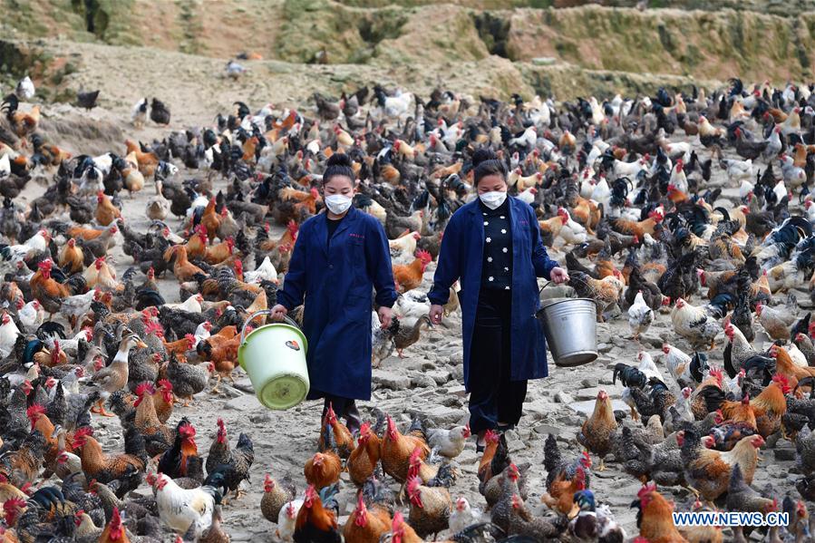 CHINA-GUANGXI-RONGSHUI-POVERTY ALLEVIATION (CN)