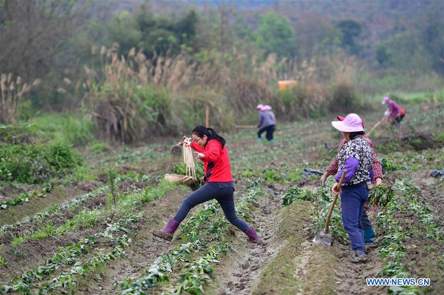 CHINA-GUANGXI-RONGSHUI-POVERTY ALLEVIATION (CN)