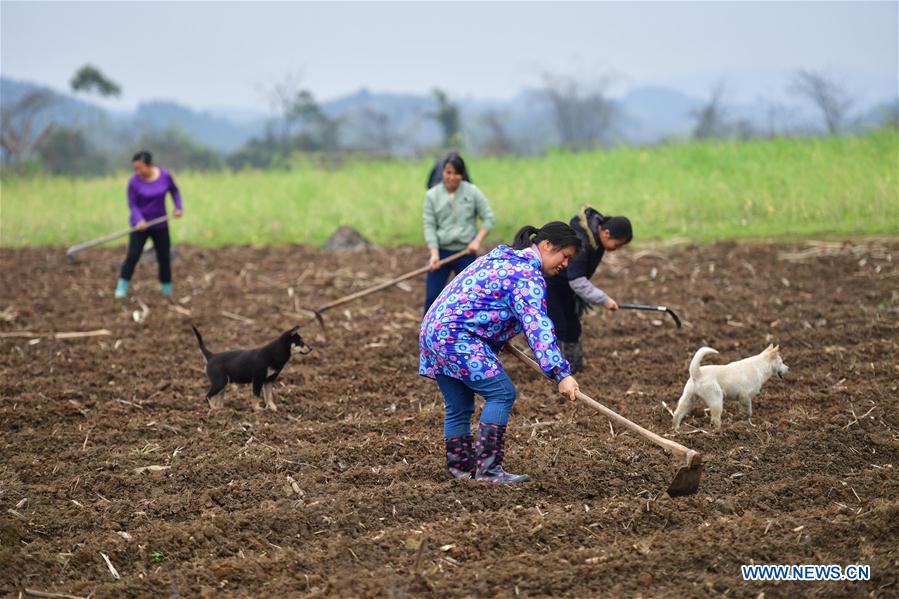 CHINA-GUANGXI-RONGSHUI-POVERTY ALLEVIATION (CN)