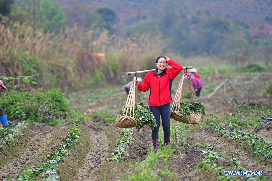 CHINA-GUANGXI-RONGSHUI-POVERTY ALLEVIATION (CN)