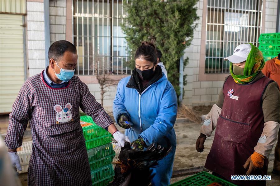 CHINA-YUNNAN-DIQING-COVID-19-POVERTY ALLEVIATION (CN)