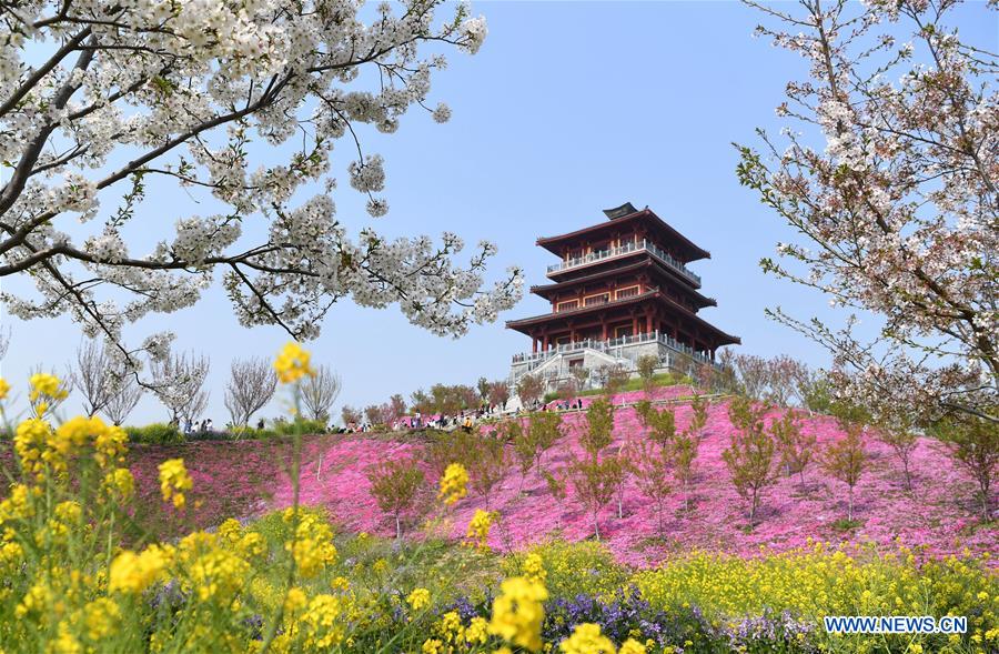 CHINA-HENAN-SPRING-CHERRY BLOSSOMS (CN)