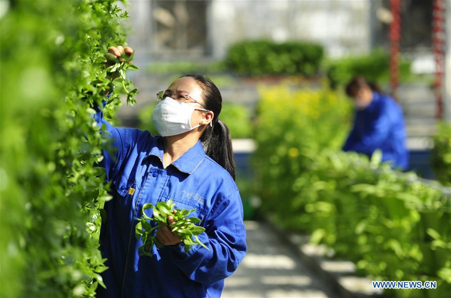 CHINA-HEBEI-MODERN AGRICULTURAL ZONE