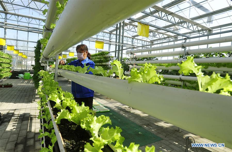 CHINA-HEBEI-MODERN AGRICULTURAL ZONE