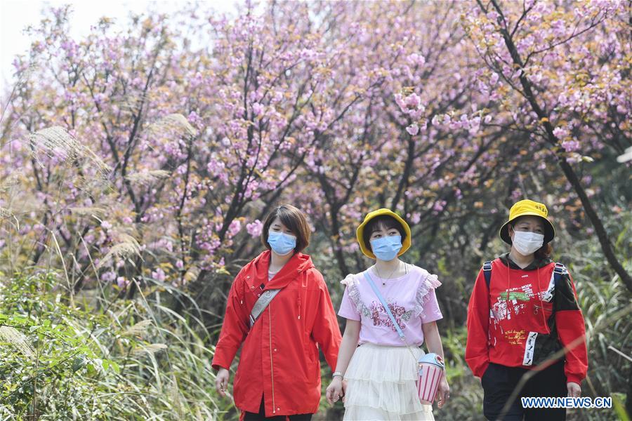 CHINA-CHONGQING-FANGNIUPING-DEVELOPMENT (CN)