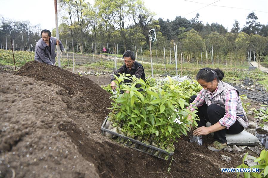 CHINA-CHONGQING-FANGNIUPING-DEVELOPMENT (CN)