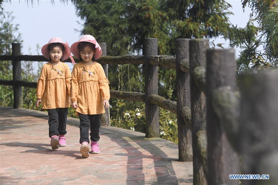 CHINA-CHONGQING-FANGNIUPING-DEVELOPMENT (CN)