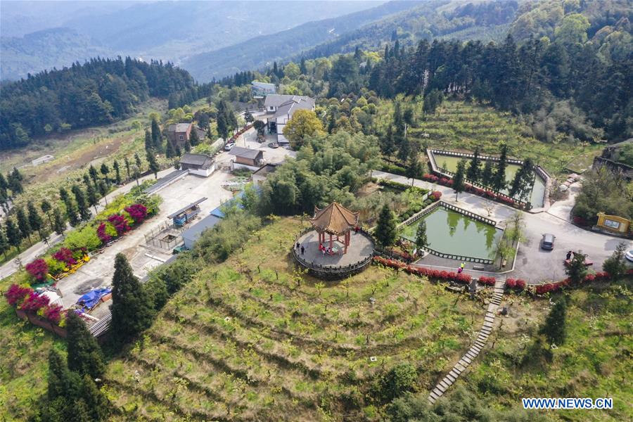 CHINA-CHONGQING-FANGNIUPING-DEVELOPMENT (CN)