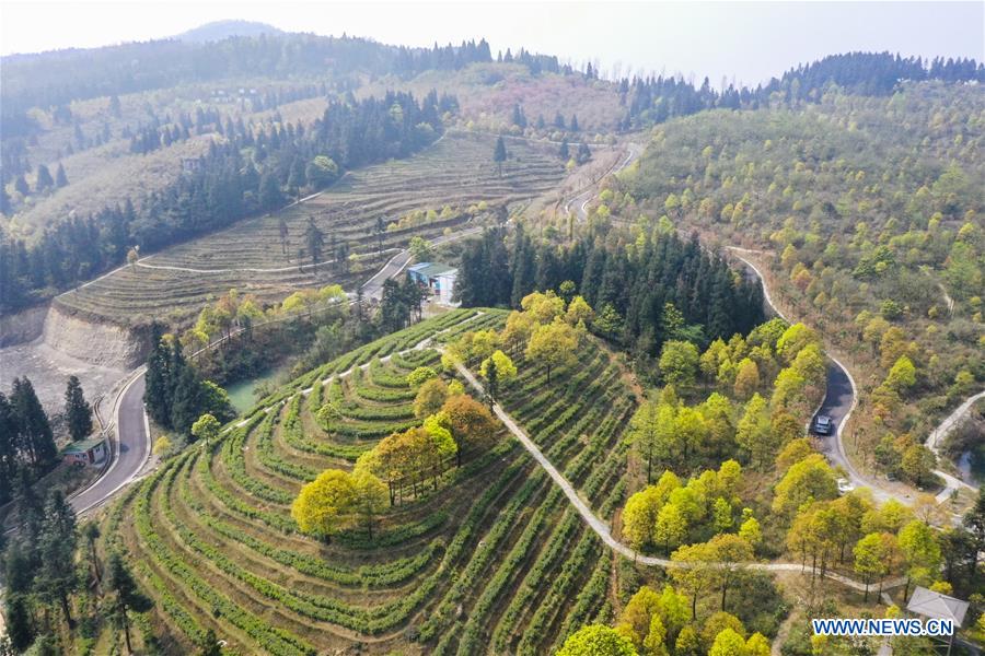 CHINA-CHONGQING-FANGNIUPING-DEVELOPMENT (CN)