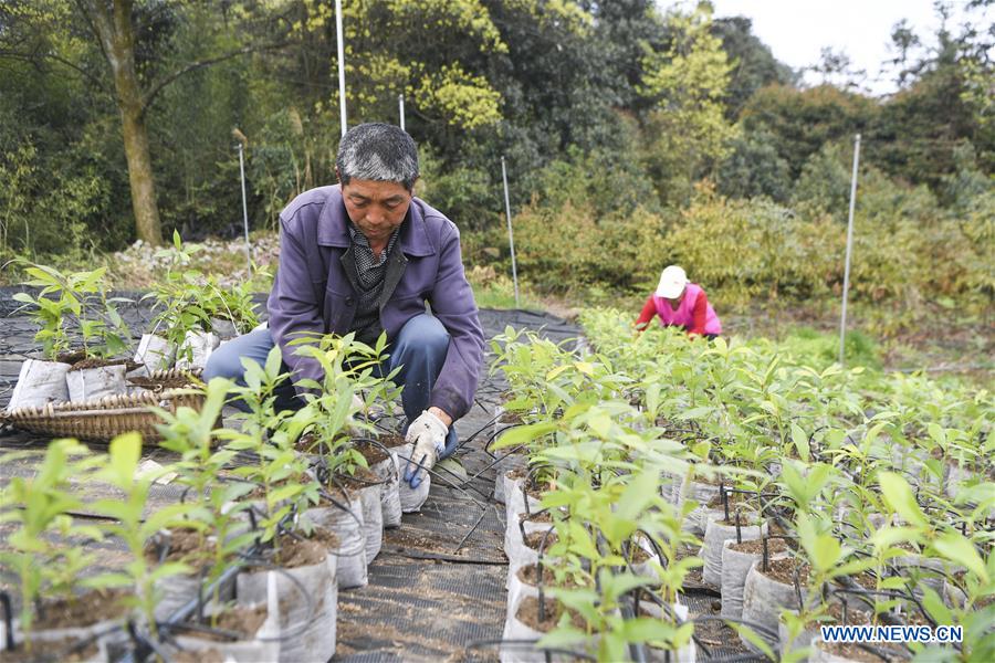 CHINA-CHONGQING-FANGNIUPING-DEVELOPMENT (CN)