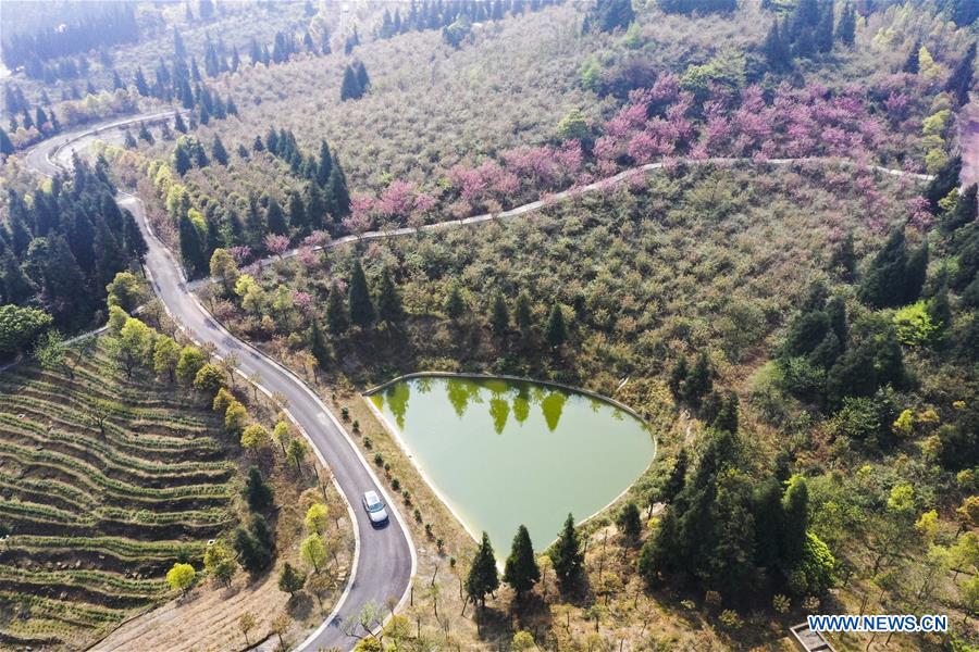 CHINA-CHONGQING-FANGNIUPING-DEVELOPMENT (CN)