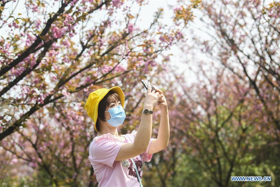 CHINA-CHONGQING-FANGNIUPING-DEVELOPMENT (CN)