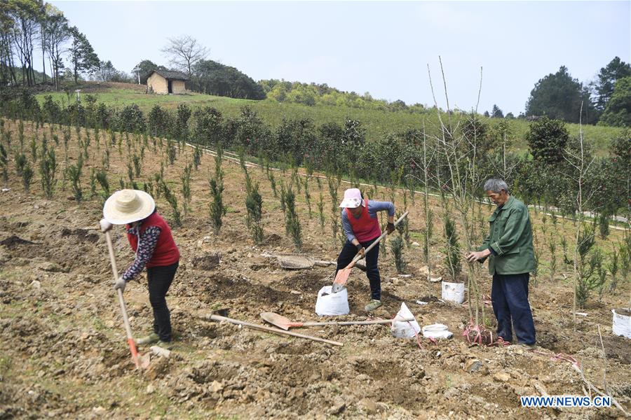 CHINA-CHONGQING-FANGNIUPING-DEVELOPMENT (CN)