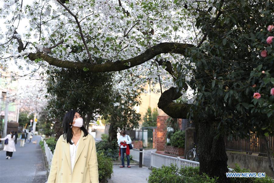 JAPAN-TOKYO-COVID-19-CONFIRMED CASES