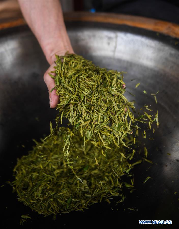 CHINA-HANGZHOU-WEST LAKE LONGJING TEA-HARVEST (CN)