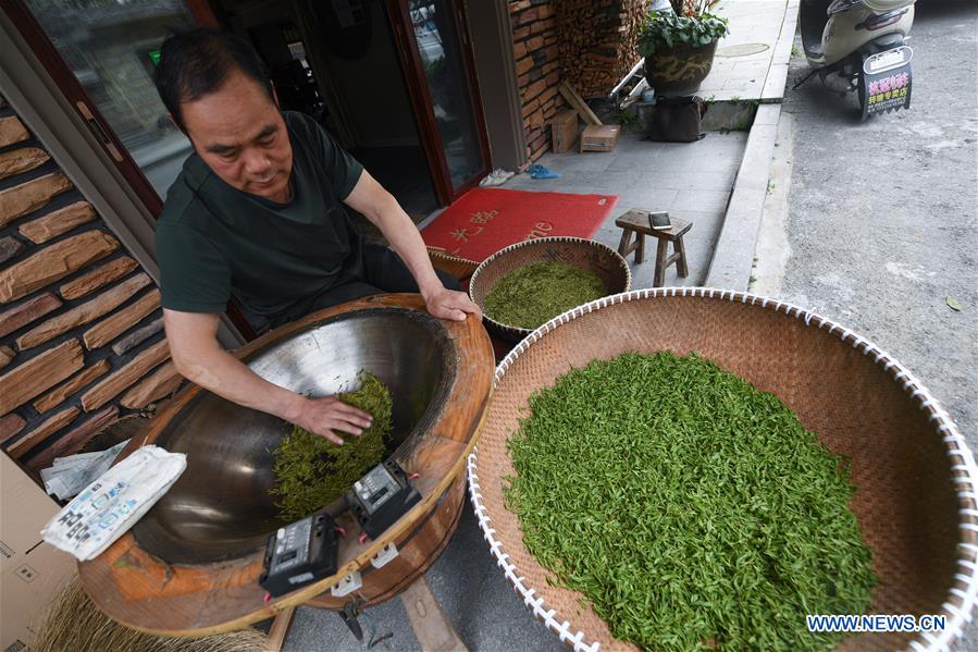 CHINA-HANGZHOU-WEST LAKE LONGJING TEA-HARVEST (CN)