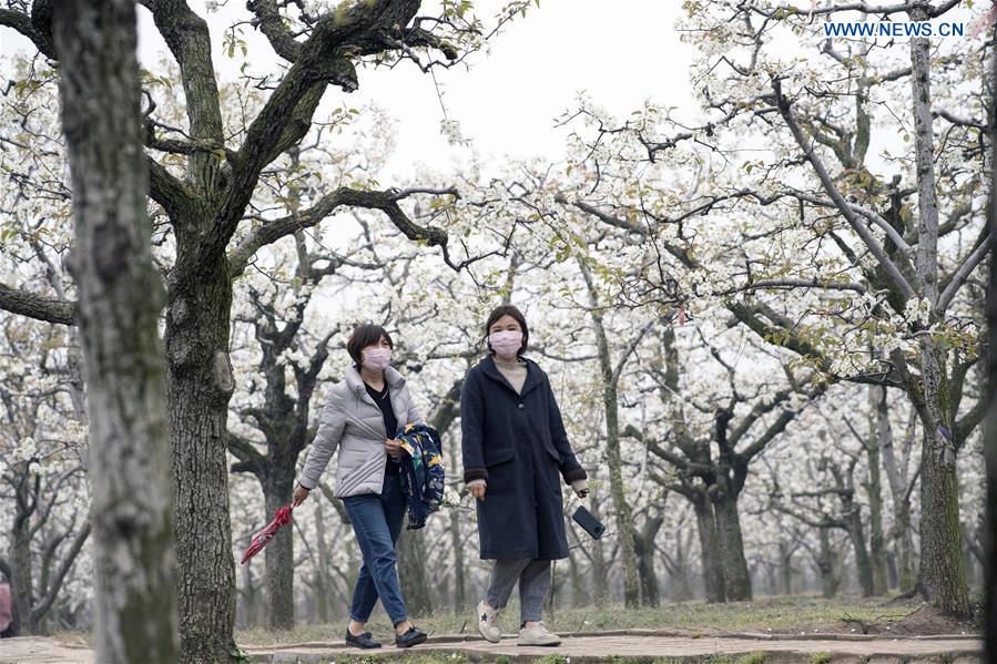 CHINA-HENAN-SHANGQIU-SPRING SCENERY (CN)