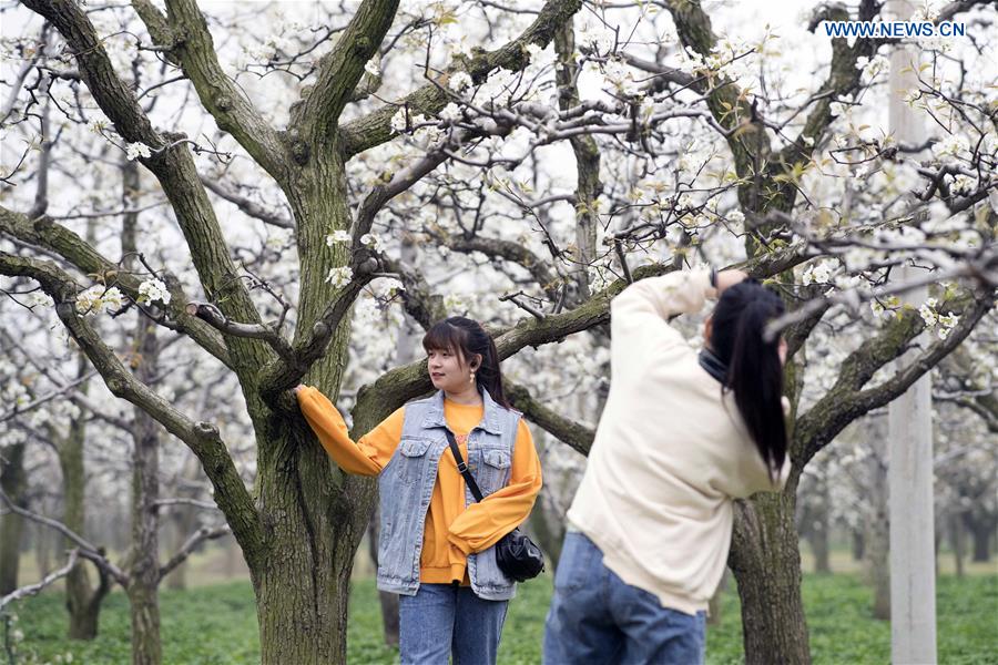 CHINA-HENAN-SHANGQIU-SPRING SCENERY (CN)