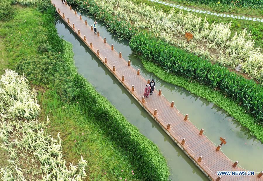 CHINA-GUANGXI-NANNING-SPRING-WETLAND (CN)