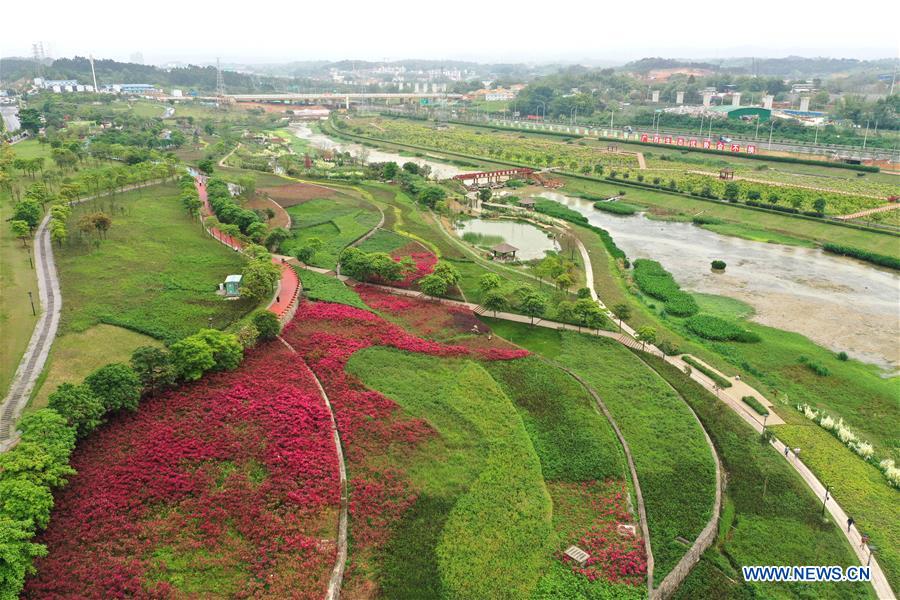 CHINA-GUANGXI-NANNING-SPRING-WETLAND (CN)